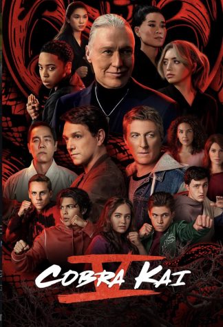 Still Kickin - Cobra Kais Fabulous Fifth Season